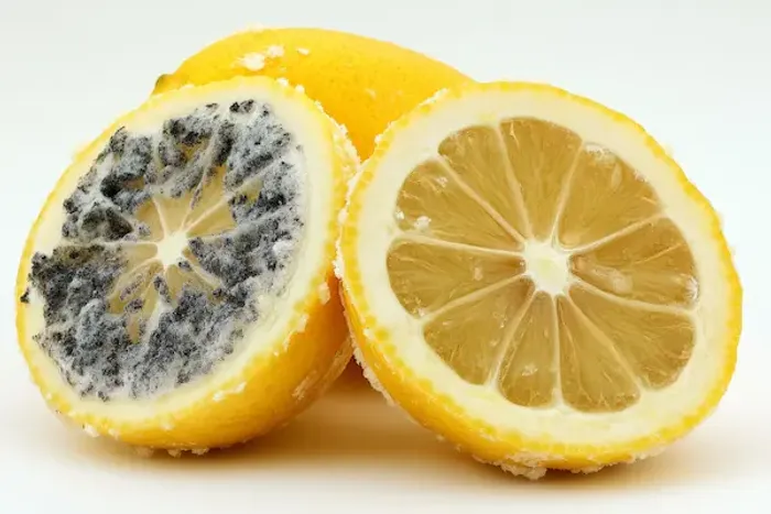 Eating Mold: Health Risks