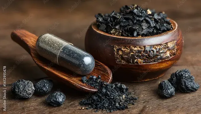 Shilajit in Ayurveda: Uses, Benefits & Side Effects