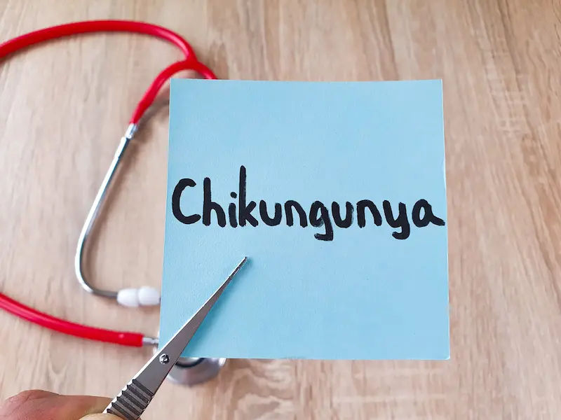 Chikungunya Treatment After Diagnosis