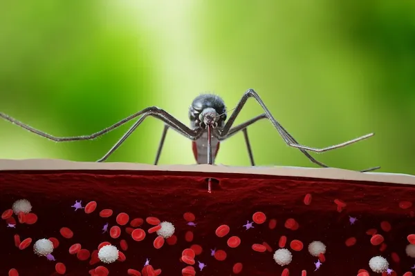 Malaria