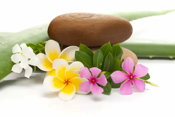 Sadabahar (Periwinkle): Ayurveda Benefits & Uses