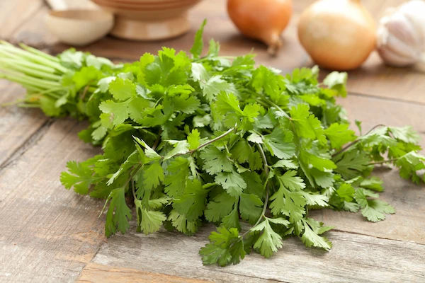 coriander
