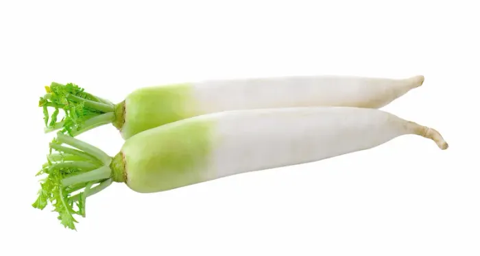 Daikon Radish Benefits: A Guide to Nutritional Value