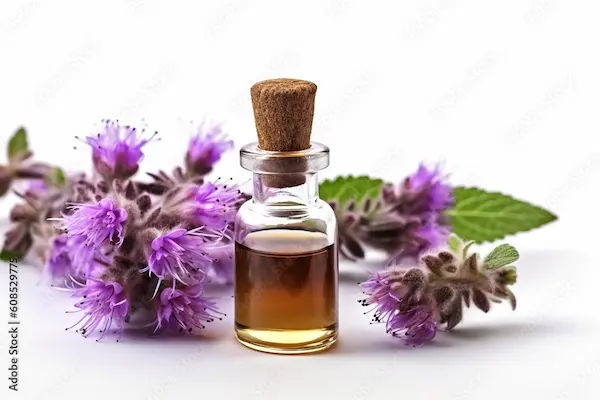Patchouli Oil: Uses & Benefits