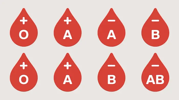 Blood Donation Time Intervals Explained