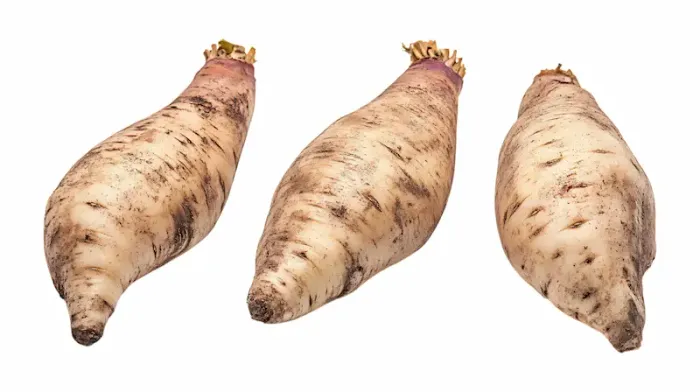 Elephant Yam in Ayurveda