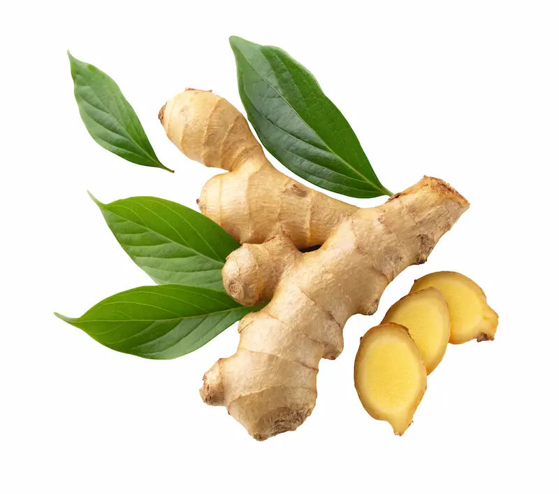 Ginger in Ayurveda Uses, Benefits & Side Effects