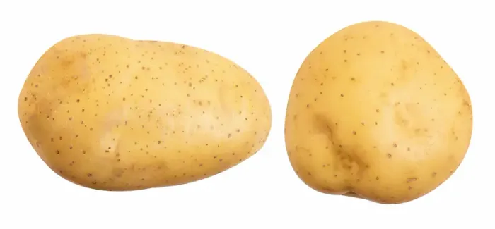 Potato in Ayurveda