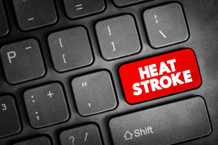 What Leads To Signs Of Heat Stroke And Types