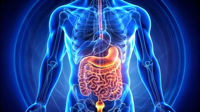 Bowel Dysfunction After Hysterectomy