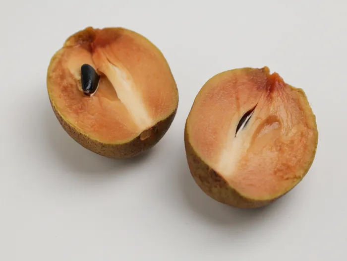 Chikoo Fruit Health Benefits and Nutrition