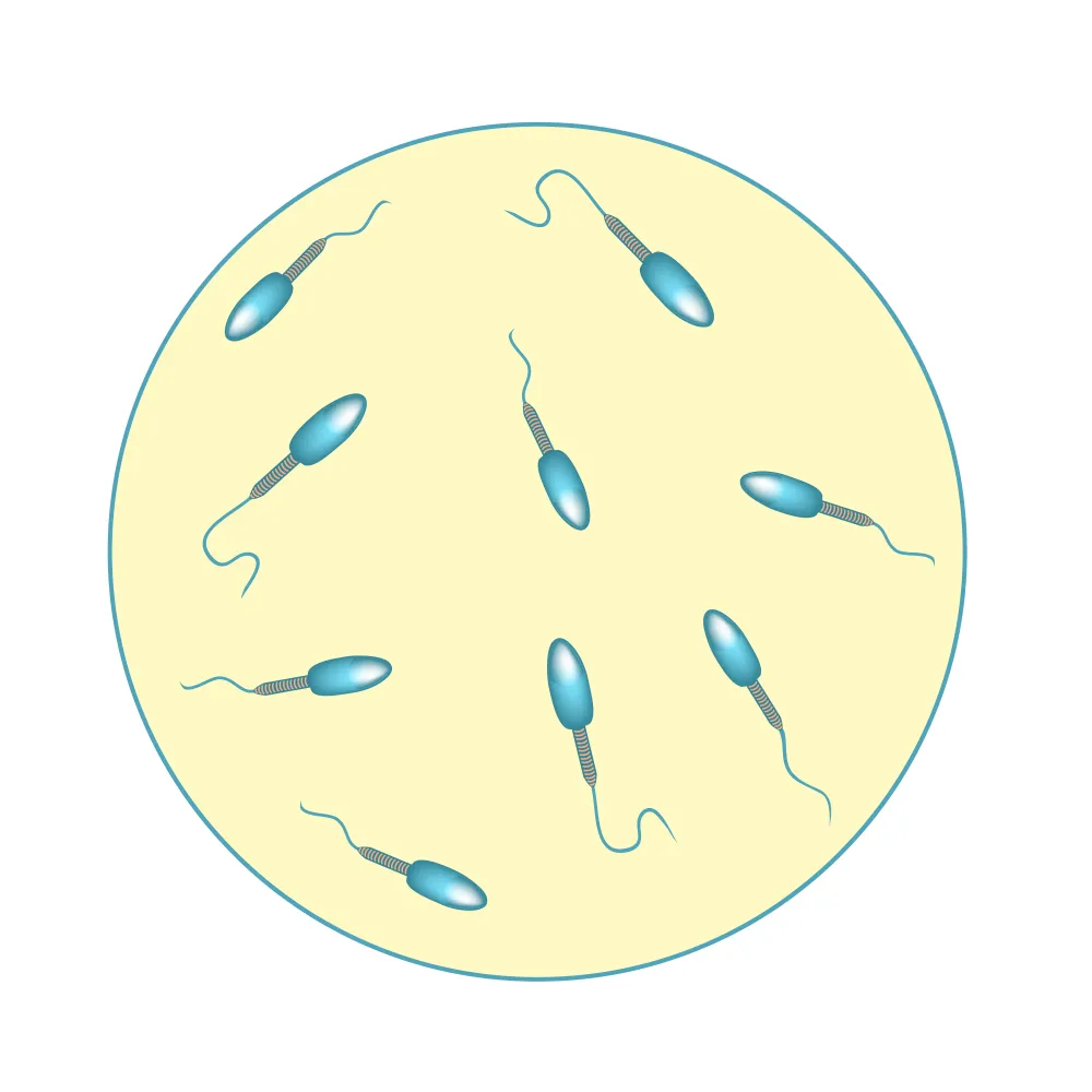 l carnitine sperm volume Tips for Reducing Stress and Improving Male Fertility main image 1
