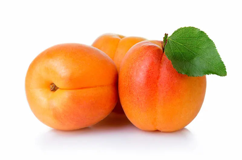 Aadu (Apricot) Benfits