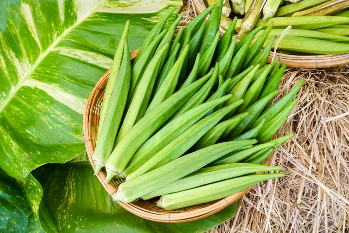 okra