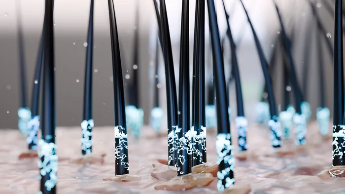 Sebum Production On Scalp