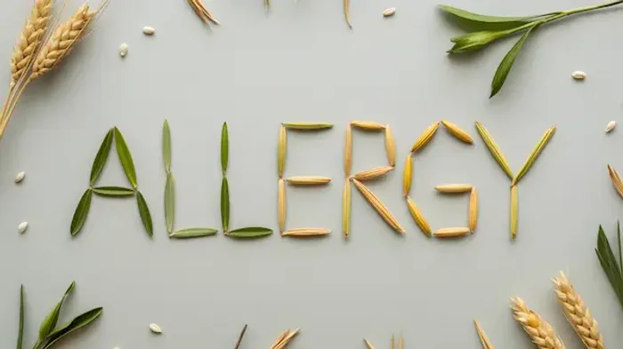 All About Wheat Allergy