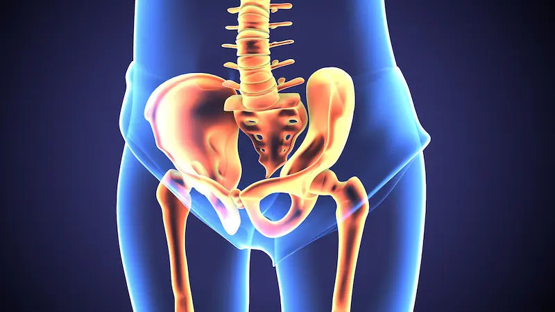 Hip Replacement Surgery Cost
