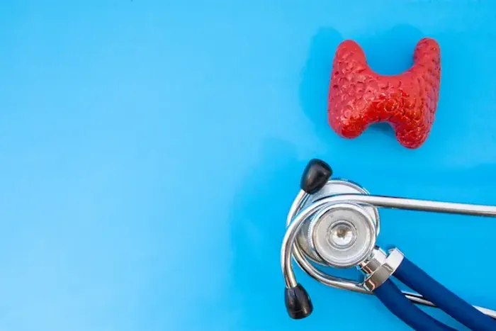 Thyroid Test on an Empty Stomach: What to Know