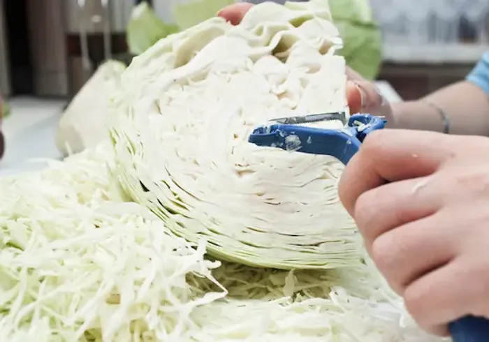 Cabbage Juice and Ulcers: An In-depth Look at Nature's Remedy