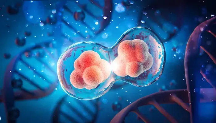 Stem Cell Research And Therapy