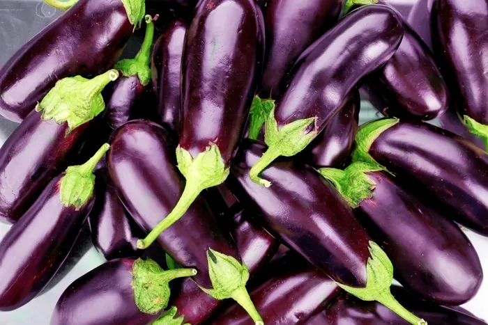 brinjal