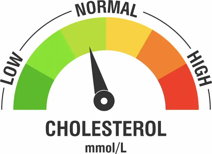 Cholesterol Increase: Causes and Factors