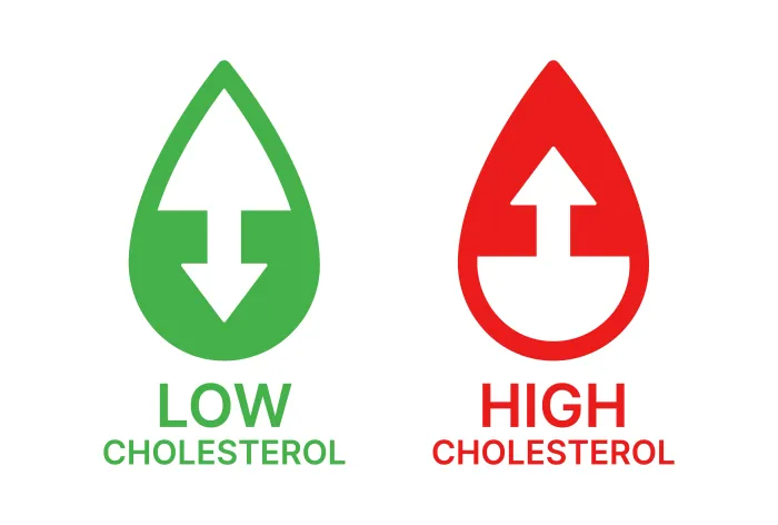 All About High Cholesterol: Understanding, Managing, And Preventing This Common Health Issue