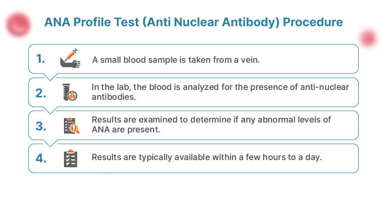  Procedure for the Anti-Nuclear Antibody