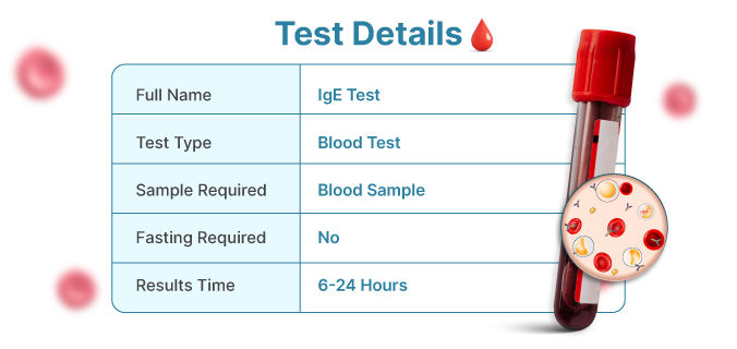 IgE-Test-Details