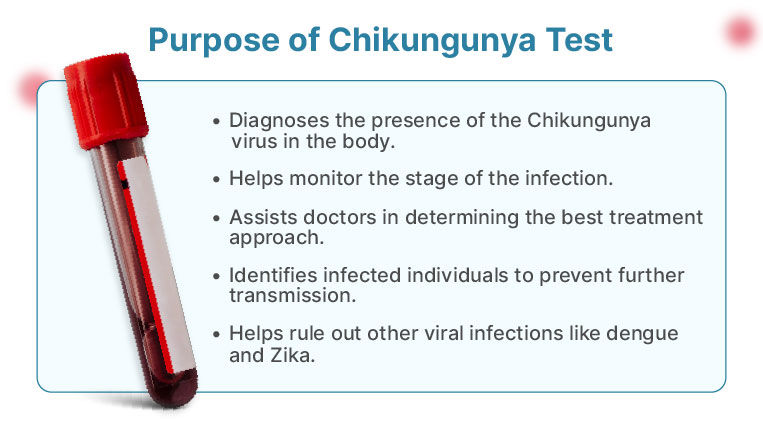 Purpose-of-Chikungunya-Test