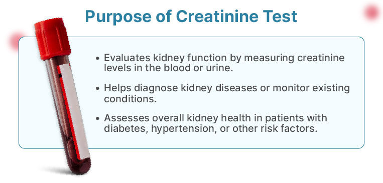  Purpose of Creatinine