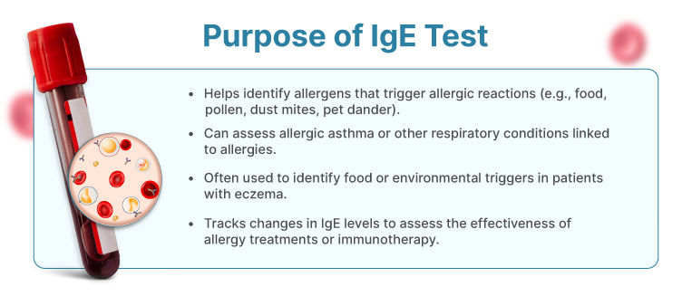 Purpose-of-IgE-Test