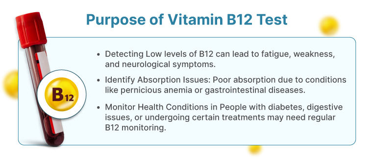 Vitamin B12 Test Purpose