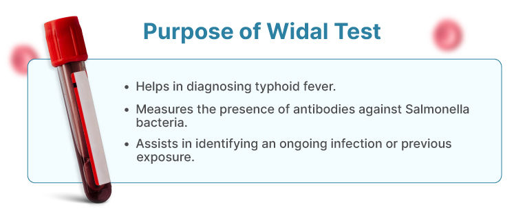 Widal Test Purpose
