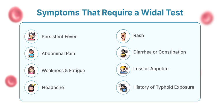 Widal Test Symptoms