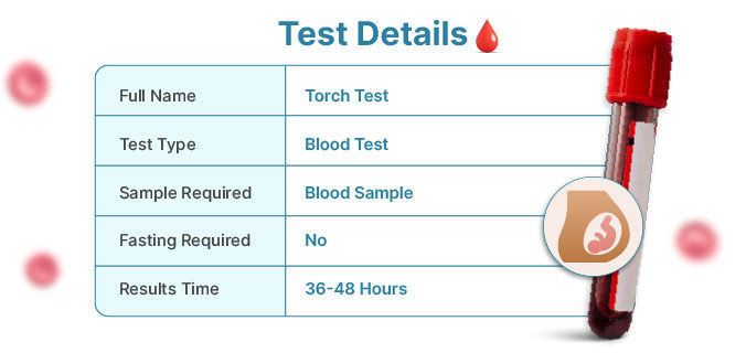 Torch Test Details