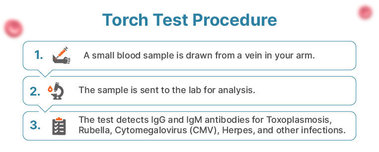 Procedure for TORCH