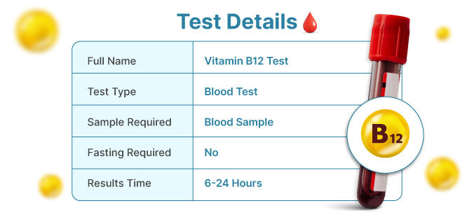 Vitamin B12 Test Details