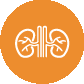 Nephrology