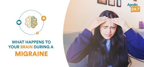 What Happens To Brain During a Migraine