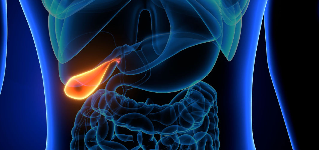 Gallbladder Stones: Know The Symptoms, Causes And Treatment