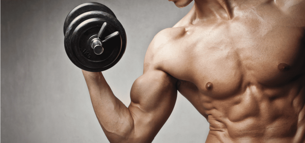 vegan or animal protein which is best for muscle building