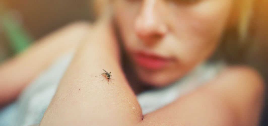 Dengue: Prevention, Symptoms, and Treatment