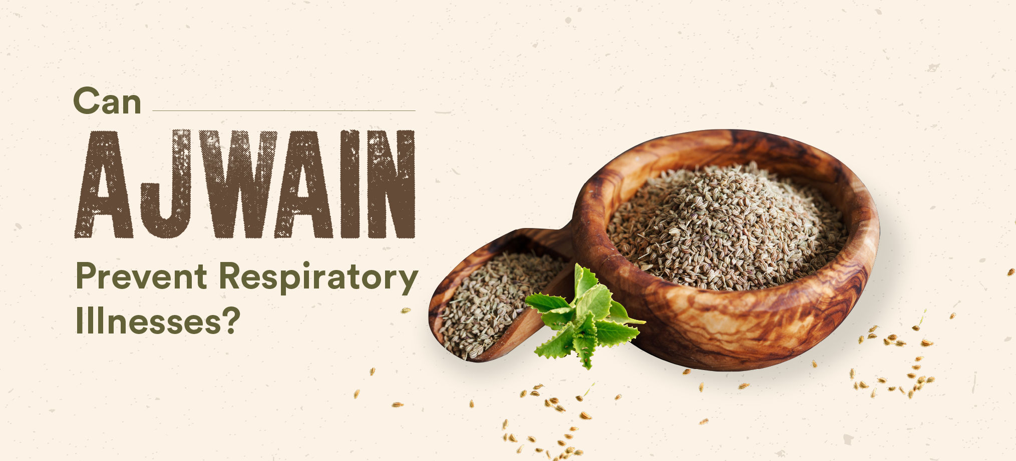6 Health Benefits Of Ajwain