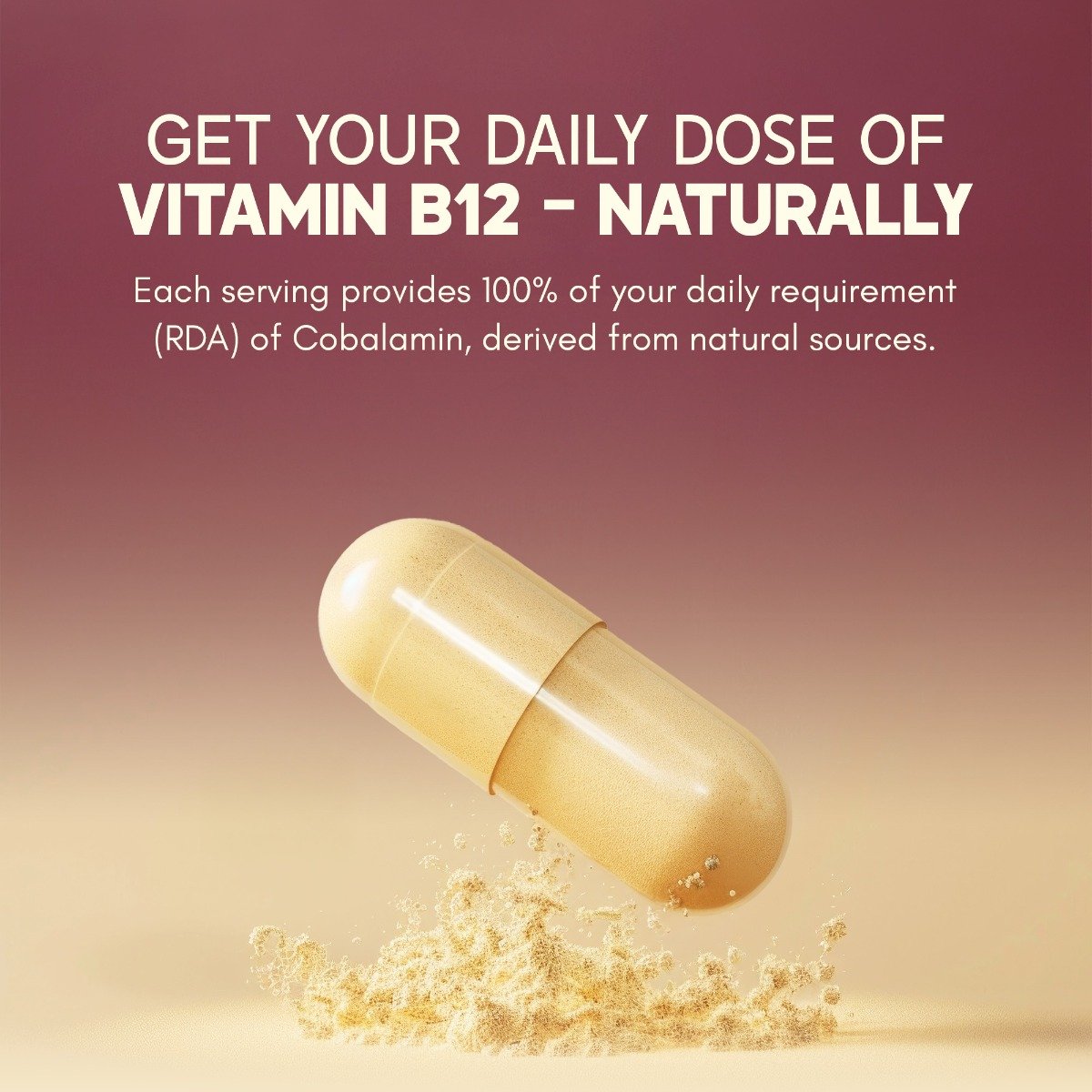 Rasayanam Plant Based Vitamin B12, 60 Capsules, Pack of 1 Rasayanam Plant Based Vitamin B12, 60 Capsules, Pack of 1