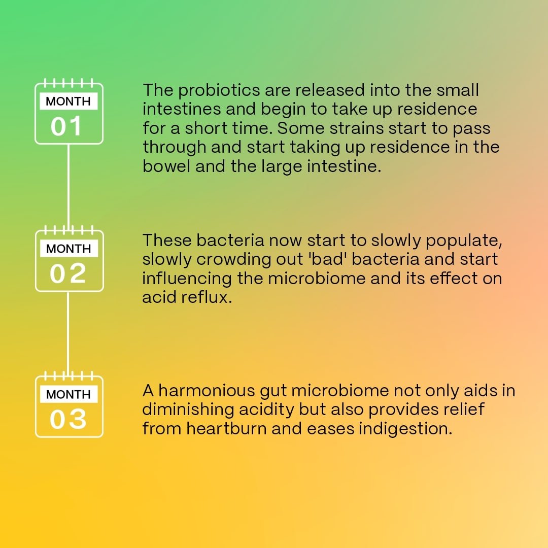 The Good Bug Acidity Aid Lemon Flavour Powder, 5gm x 15 Sachets, Pack of 1 The Good Bug Acidity Aid Lemon Flavour Powder, 5gm x 15 Sachets, Pack of 1