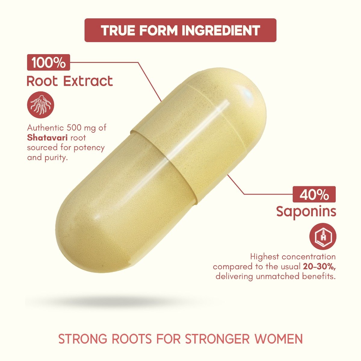 Rasayanam 500mg Shatavari for Women Natural, 60 Capsules, Pack of 1 Rasayanam 500mg Shatavari for Women Natural, 60 Capsules, Pack of 1