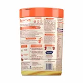 Groviva Mango Flavour Powder 400 gm, Pack of 1