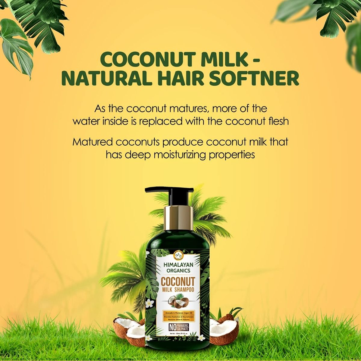 Himalayan Organics Coconut Milk Shampoo, 300 ml Price, Uses, Side