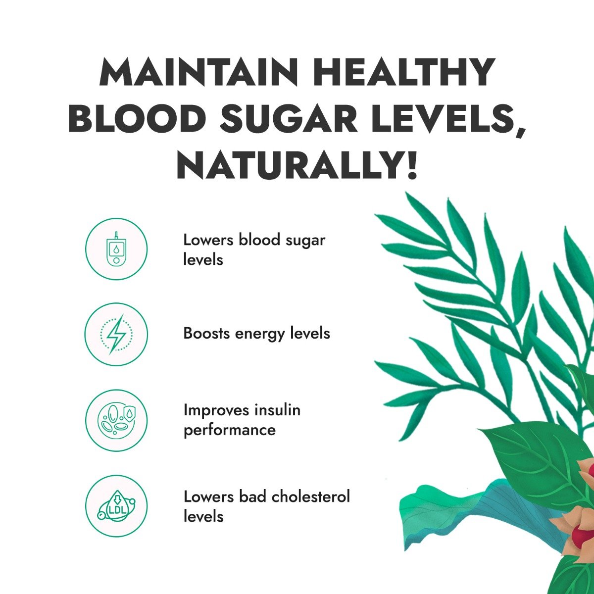 Kapiva Karela Jamun Juice, 1 L, Pack of 1 Kapiva Karela Jamun Juice, 1 L, Pack of 1